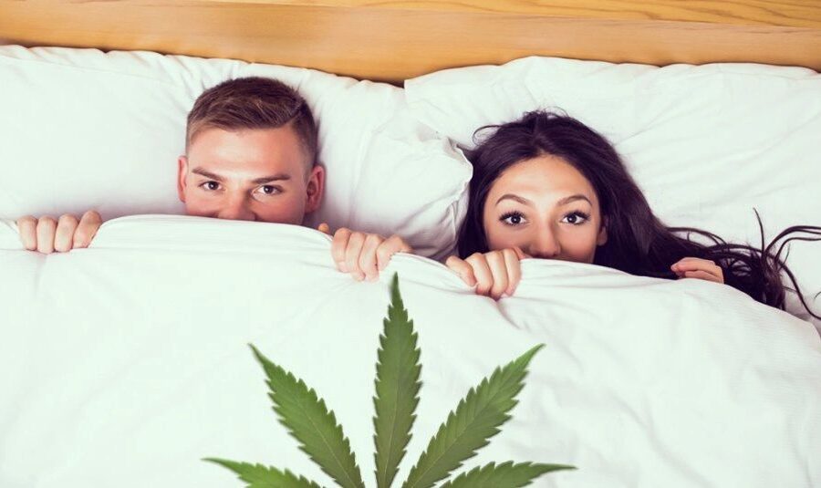 Research: Association Between Cannabis Use and Sexual Frequency