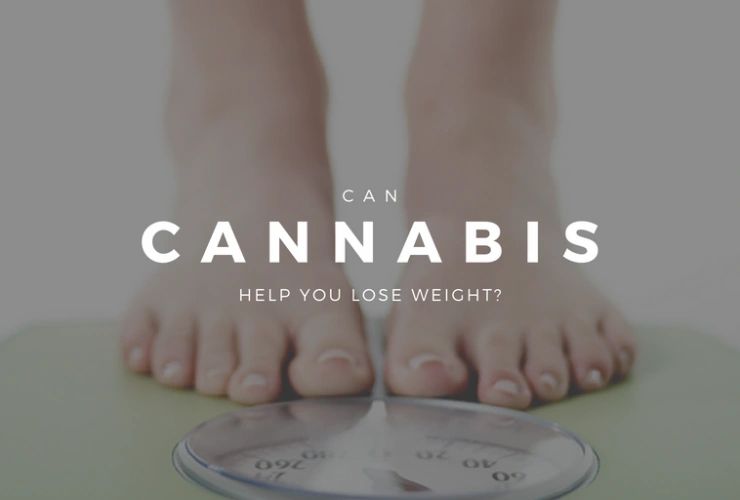 Research Shows Cannabinoids Cause Weight Loss