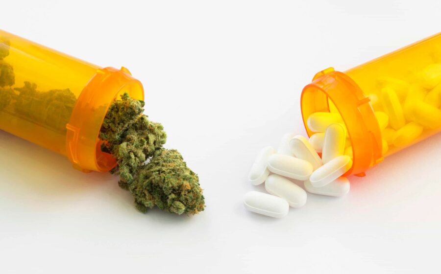 Canadian Researchers Prove Cannabis Reduces Benzodiazepine Use