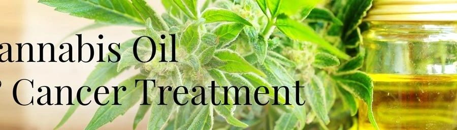 Former UCLA Professor Dr. Allan Frankel On Cancer and Cannabis: