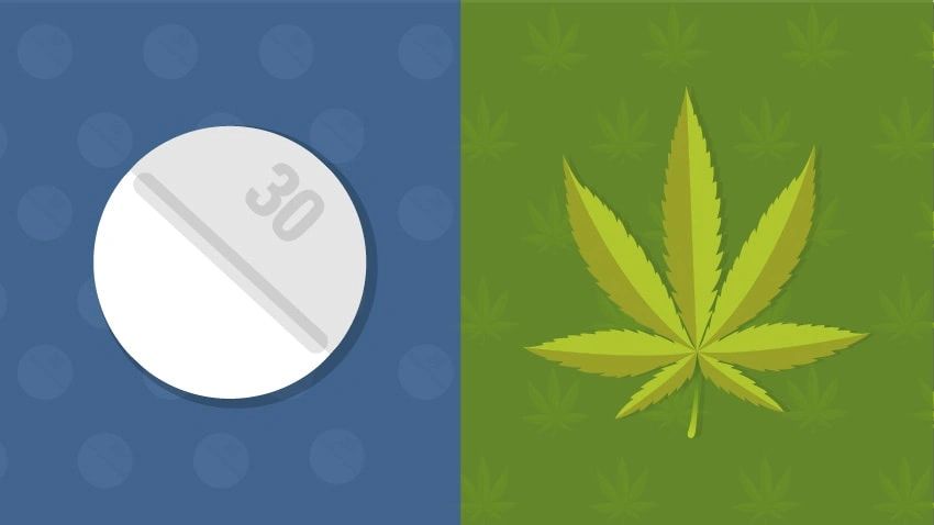 Cannabis Legalization Decreased Opioid Related Hospitalizations