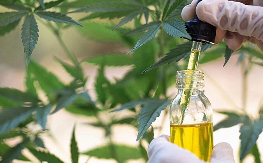 Cannabis Research 1964-2016 Over 650 Peer Reviewed Studies/Papers