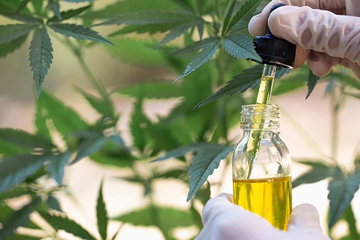 Cannabis Research 1964-2016 Over 650 Peer Reviewed Studies/Papers