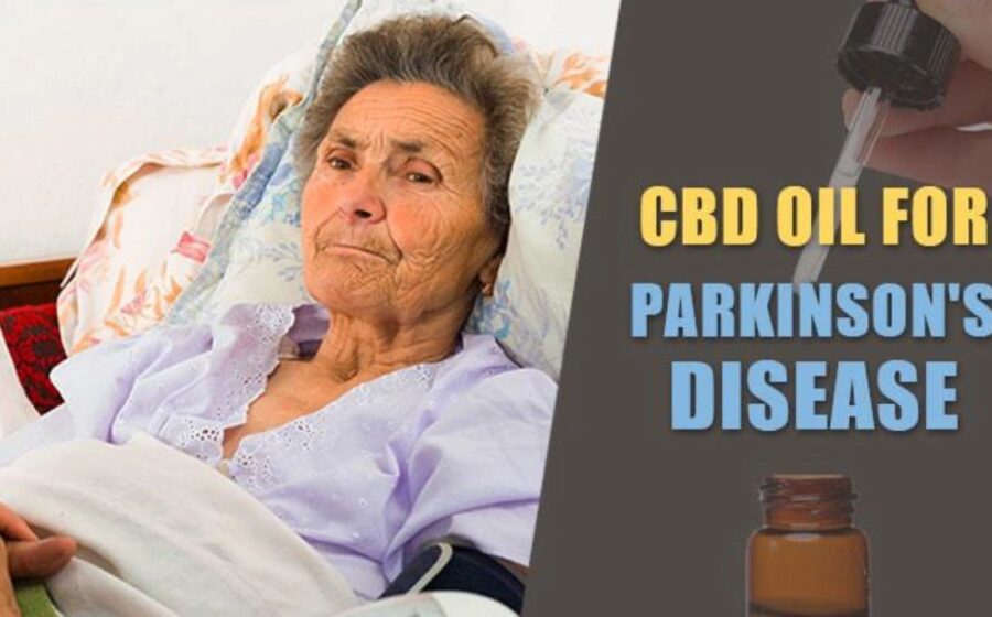 CBD Oil for Parkinson’s: Can It Help? Let’s Read The Research