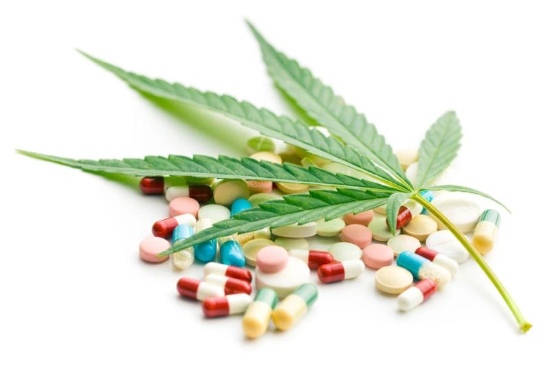 Recreational Cannabis Use Proven To Reduce Opioid Mortality Rate