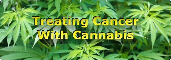 Quick Links To Cannabis/Cancer Research: