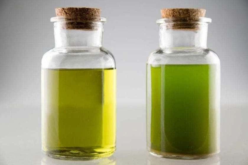 Dr. Deluca: THC/CBD Can Induce Cancer Cell Death Via Apoptosis