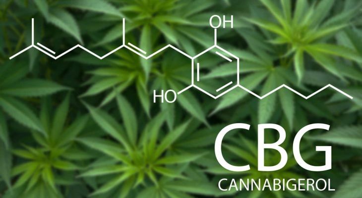 CBG: The Mother Of All Cannabinoids (White Paper)