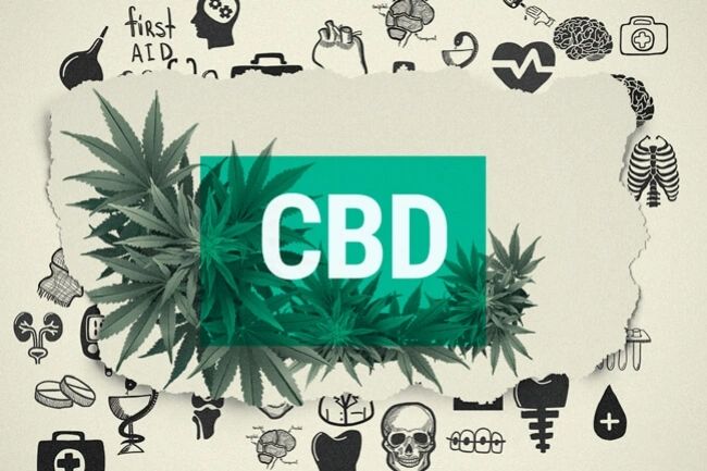 Cannabidiol Drugs Clinical Trial Outcomes and Adverse Effects