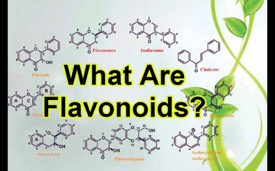 Flavinoids Found in Cannabis May Treat COVID-19 In Recent Study