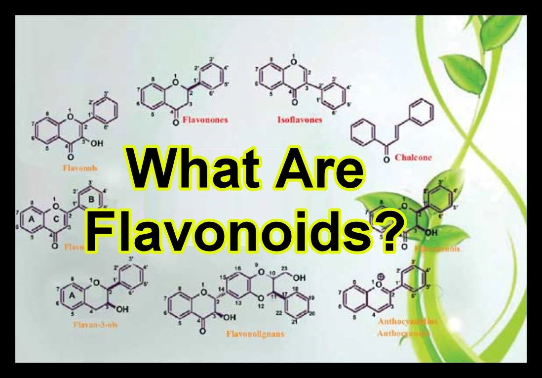 Flavinoids Found in Cannabis May Treat COVID-19 In Recent Study