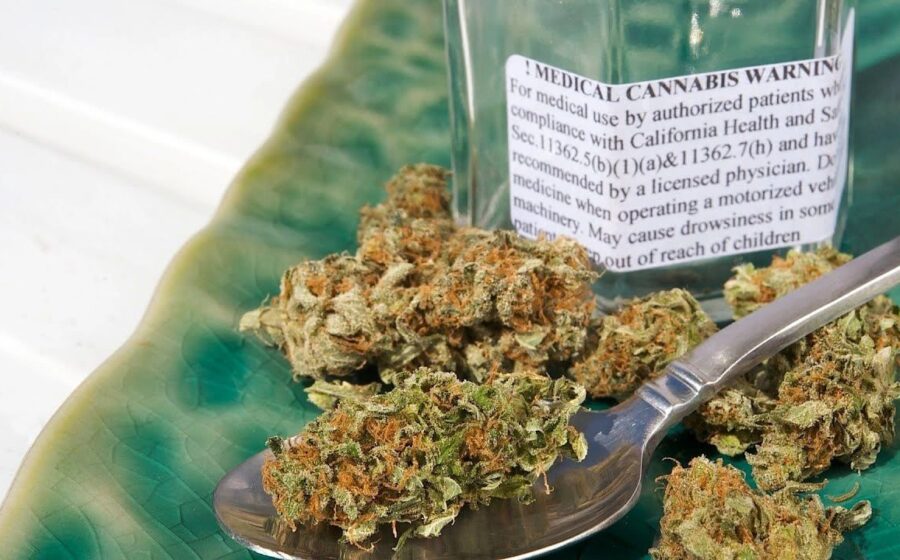 Cannabinergic Pain Medicine: A Concise Clinical Primer and Survey