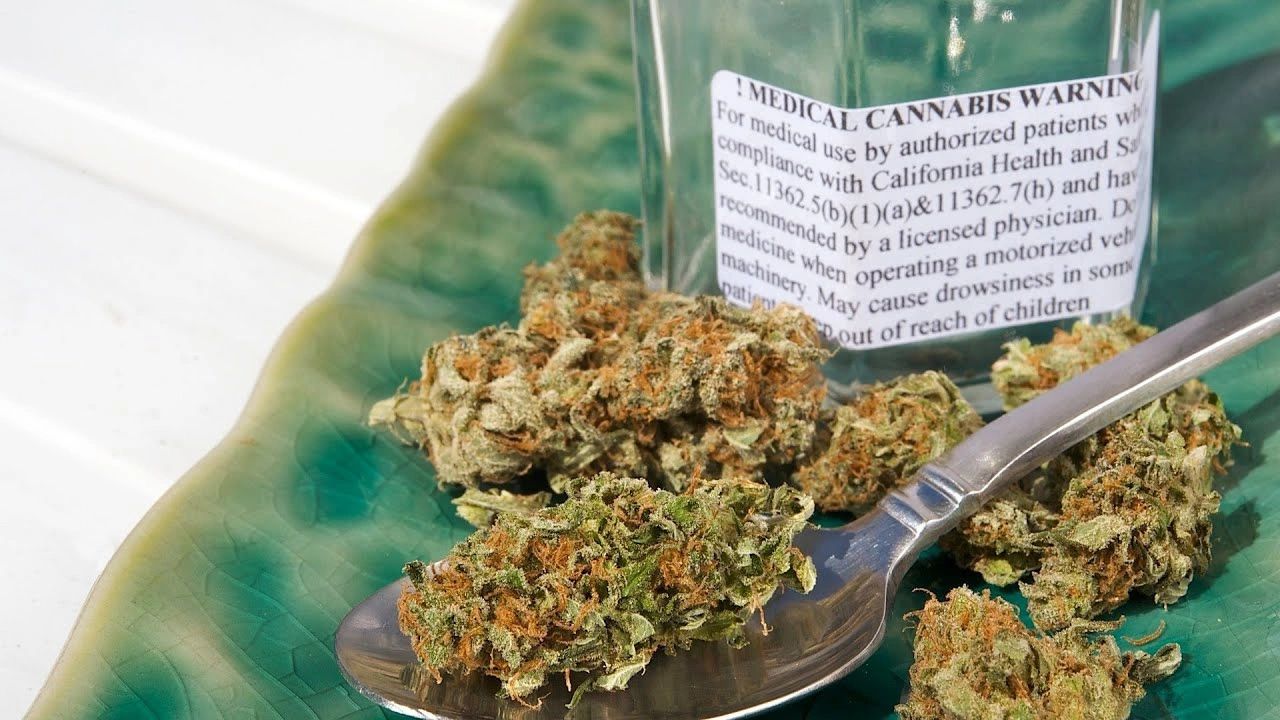 Cannabinergic Pain Medicine: A Concise Clinical Primer and Survey