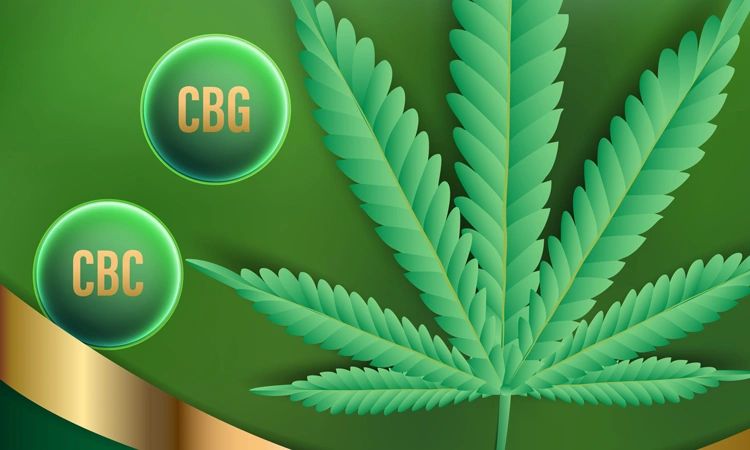 CBG An Antibiotic?  Researchers Uncover The Amazing Potential