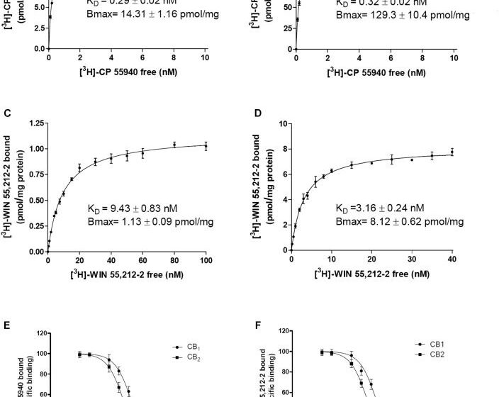 Nanomolar Concentrations:CBG Binds to Orthosteric Site of CB2R