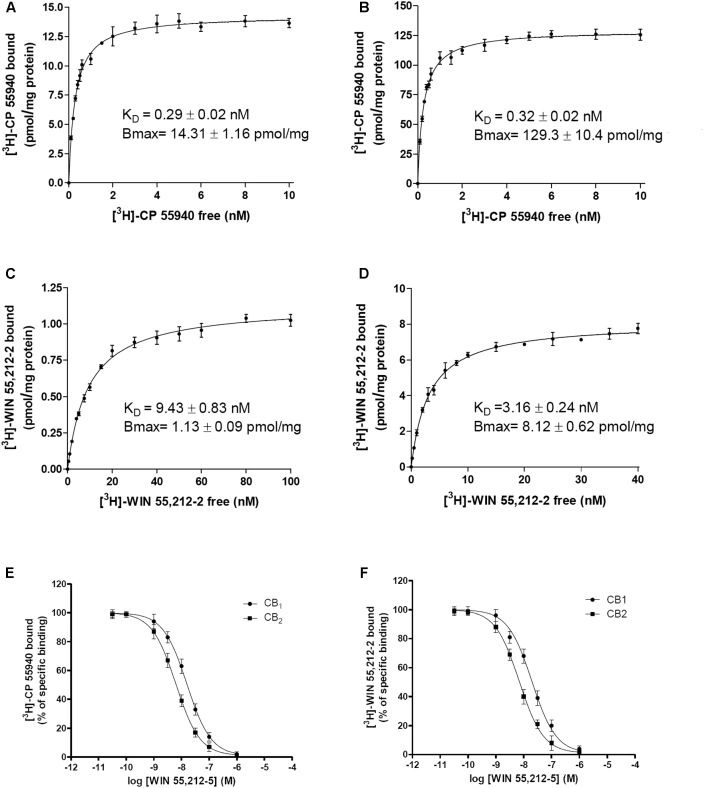 Nanomolar Concentrations:CBG Binds to Orthosteric Site of CB2R