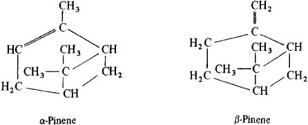 Alpha and Beta Pinene – The Differences and They’re Potential