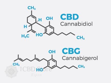 Researching CBG: A Quick Review