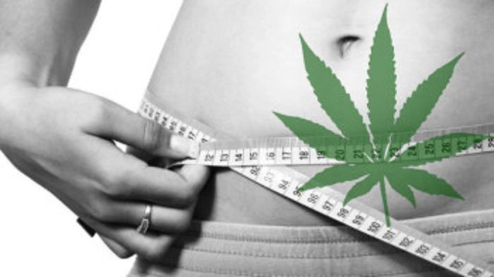 Endocannabinoids Beating Obesity: Brewing A Perfect Metabolism