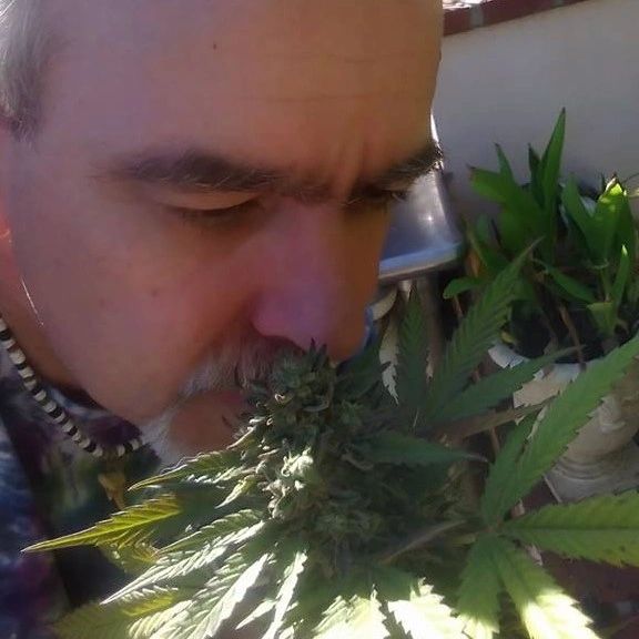 Creating New Ways To Bathe With Cannabinoid Medicine: SuperPhymes