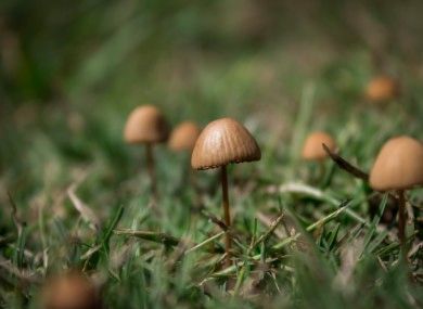 Effects of Psilocybin-Assisted Therapy: Major Depressive Disorder