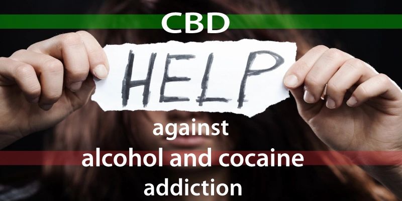 New Research Shows CBD Reduces Cocaine Addiction and Withdrawal