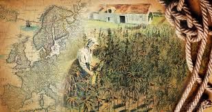 Cannabis: 12,000 years in 2000 words by Hemp Highway of Kentucky