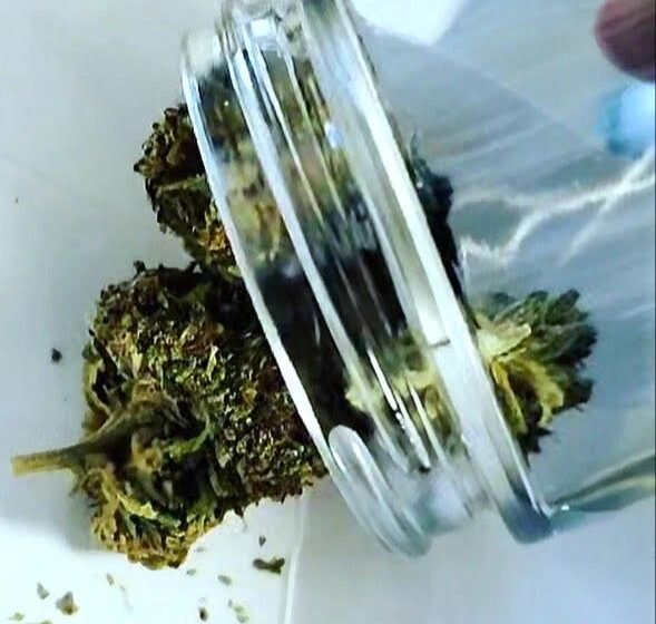 New Research: Cannabidiol Modulates Gene Expression In Withdrawal