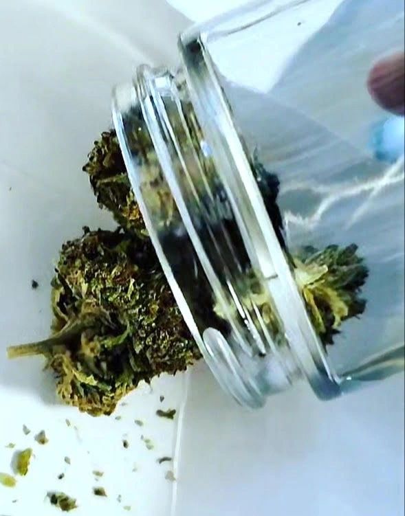 Research Review: Are Your CBD Gummies What They Claim to Be?