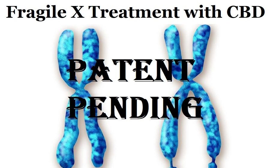 New Patent: The Treatment of Fragile X Syndrome with Cannabidiol