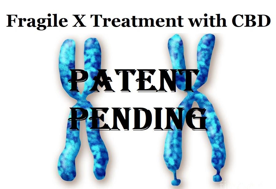 New Patent: The Treatment of Fragile X Syndrome with Cannabidiol