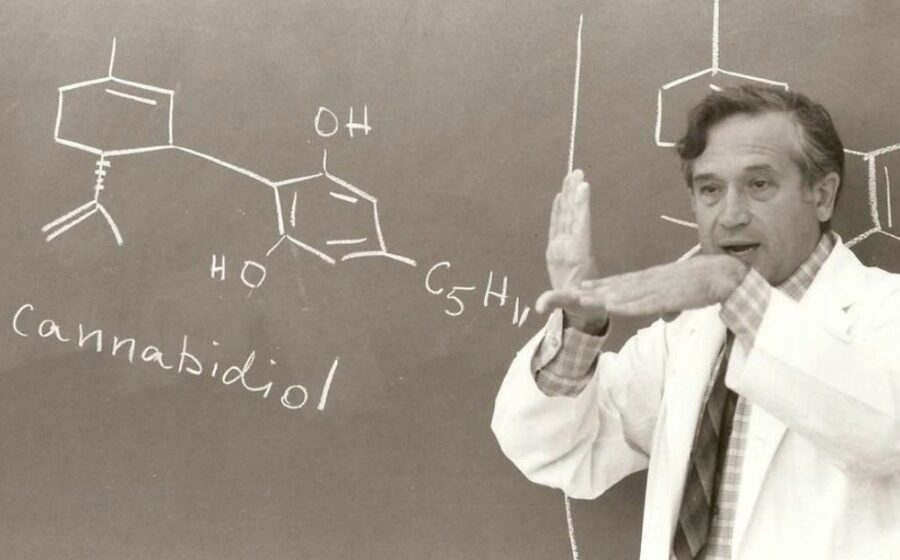 Mechoulam: Regulation of Dopamine D2 via CB1 in Schizophrenia