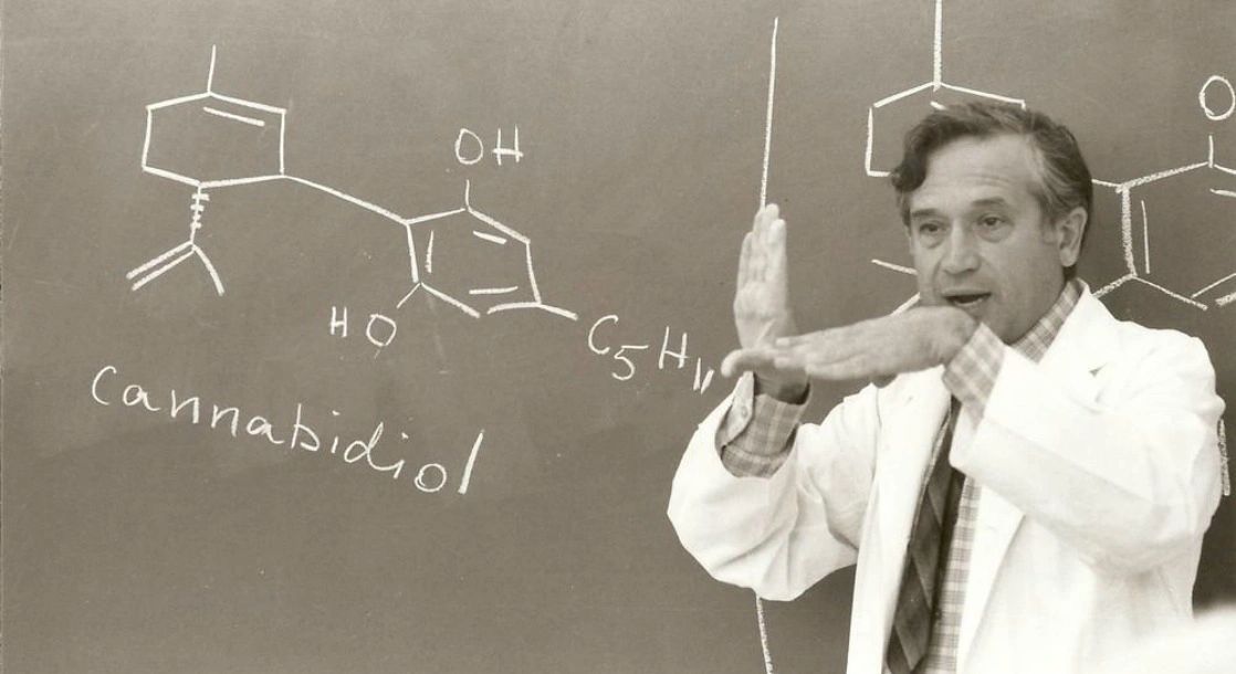 Mechoulam: Regulation of Dopamine D2 via CB1 in Schizophrenia