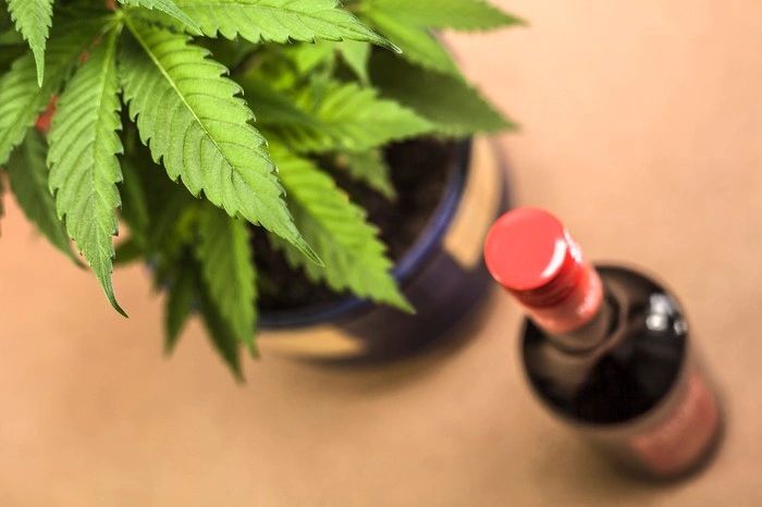 CBD or THC: Which One Helps People Quit Drinking or Consume Less?
