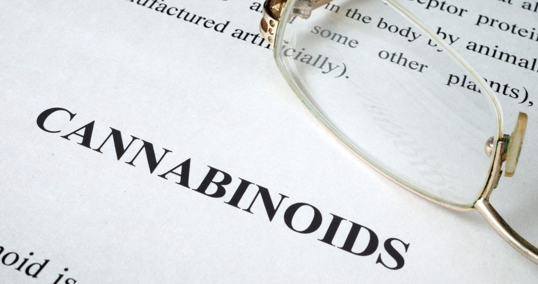 Cannabinoids and their Potential as Antibiotics
