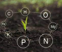 DNA: Cannabis Domestication Syndrome and Mitigation - PHYTOMEND