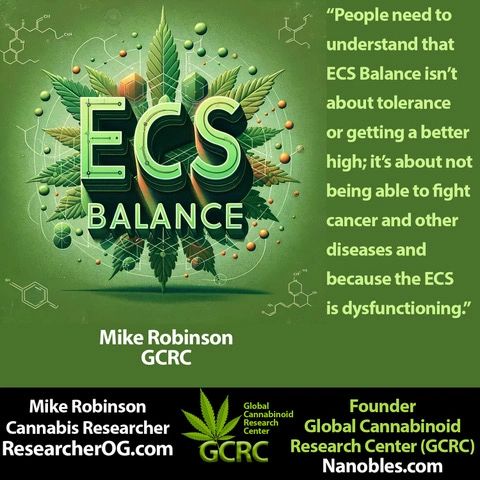 Research Review: Cannabis Helps People Addicted to Gateway Drugs